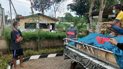 Kasus Ilegal Loging Hutan Sumber Wringin, Berlanjut P. 21 Kasus Ilegal Loging Hutan Sumber Wringin, Berlanjut P. 21