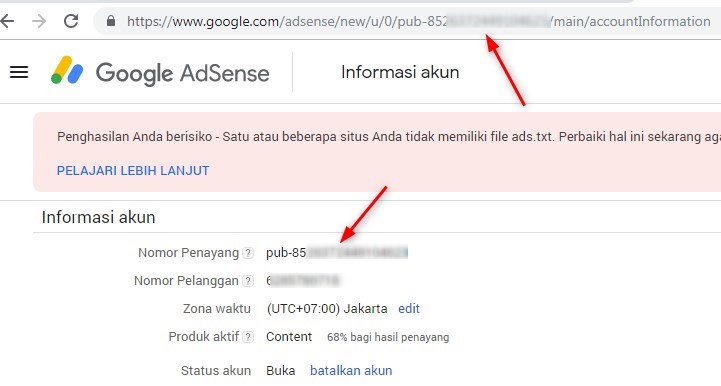 Malapetaka Adsense: Mengapa Banyak Pemilik Website Malas Mengoptimalkannya?