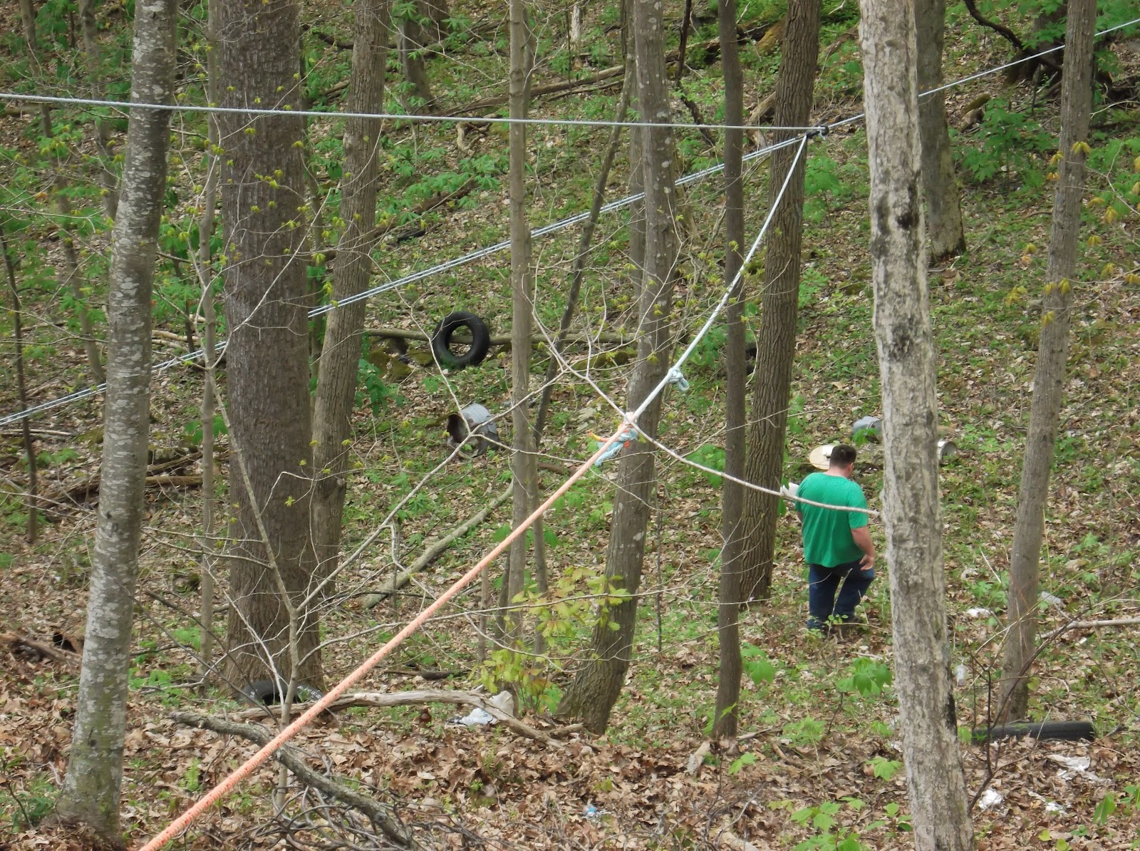 Hinton WV Homesteader Expanded homestead. Zip line logging.