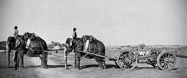 Орудийная упряжка из двух слонов. Британская Индия, около 1900 года. «Будни элефантерии»