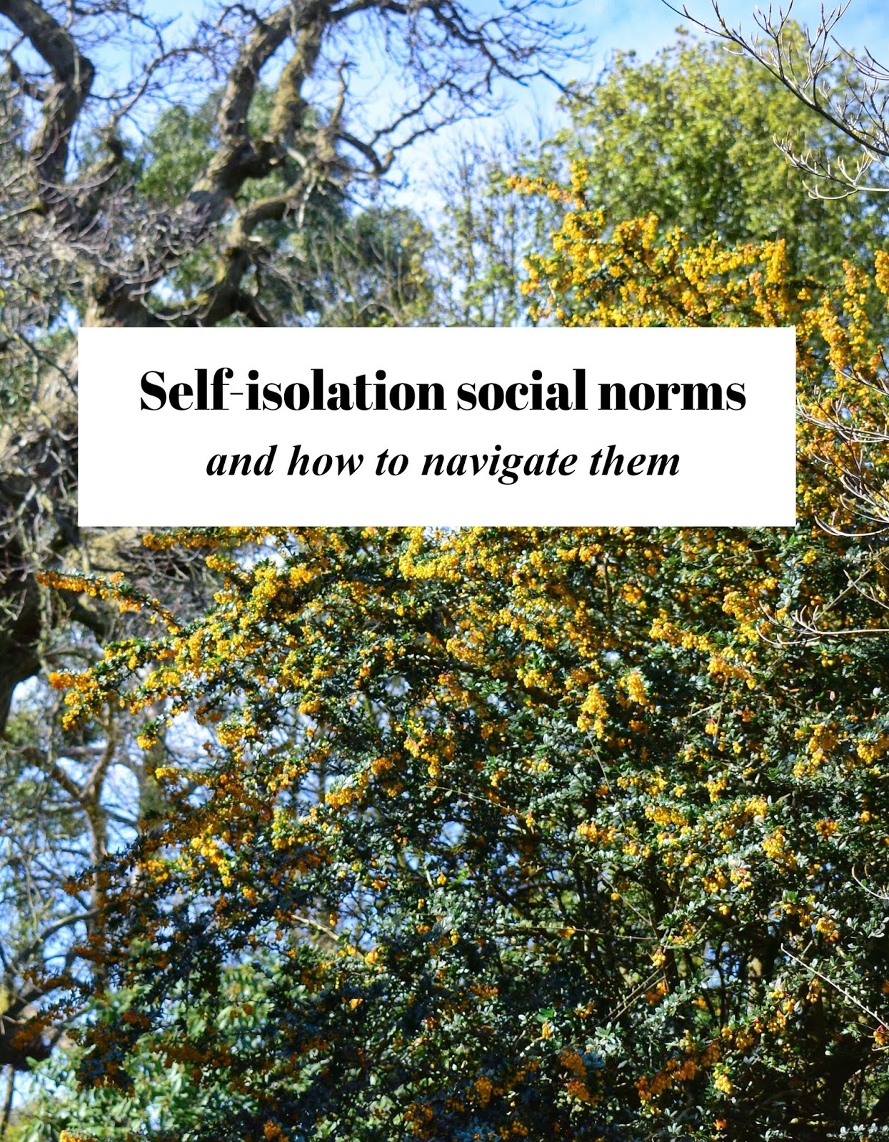 Self-Isolation Social Norms and How to Navigate Them