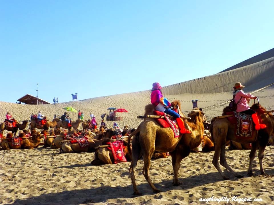 anythinglily: China Silk Road Travel Part 25: A Camel Ride At Echoing ...