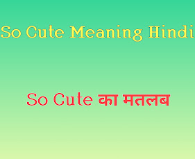 So cute meaning in hindi