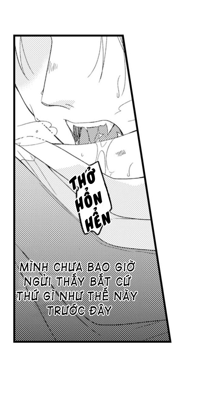 Đọc truyện Ai Muốn Được Yêu Thương Nào - Chapter 2