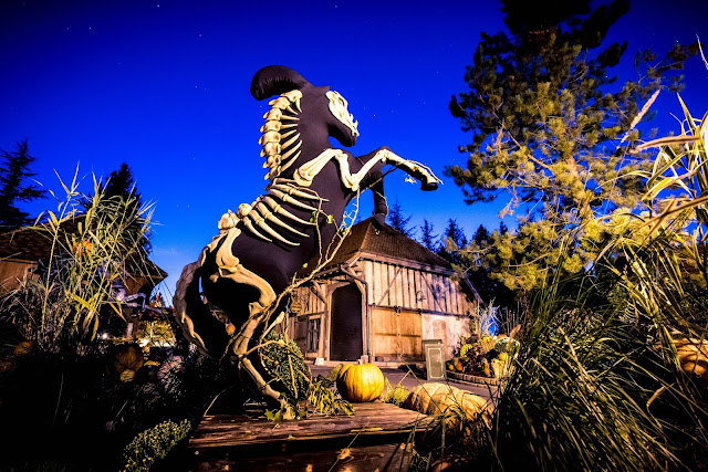 20171011 195855 DSC8409%2B %2BCopie