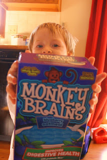 Monkey Brains Granola Bars