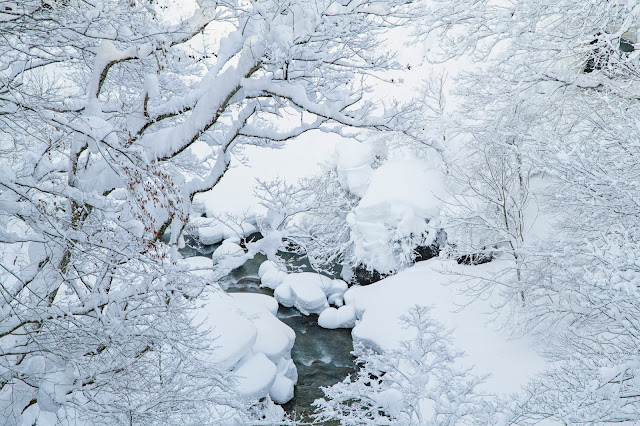 #photo #landscape #sigma #foveon #sdquattroh #japan #yamagata #tsuruoka #写真 #風景写真 #山形帝國 #山形県 #鶴岡市