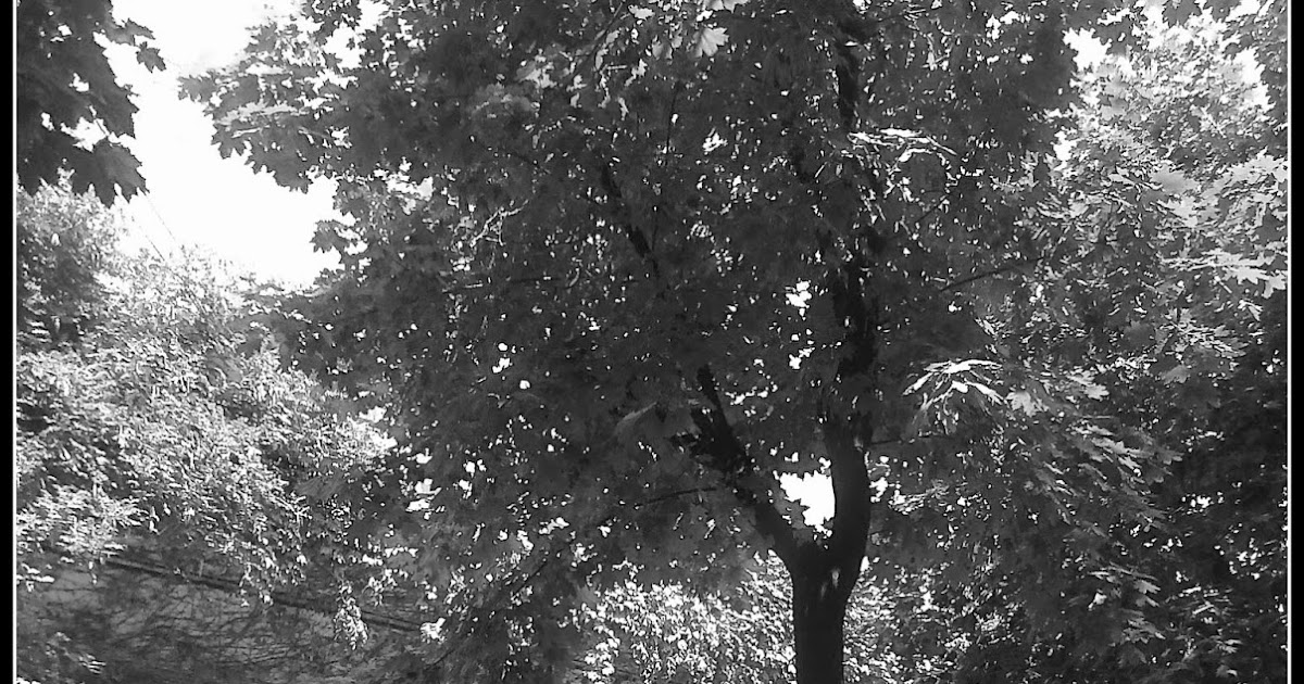 CÚMULOS EN BLANCO Y NEGRO