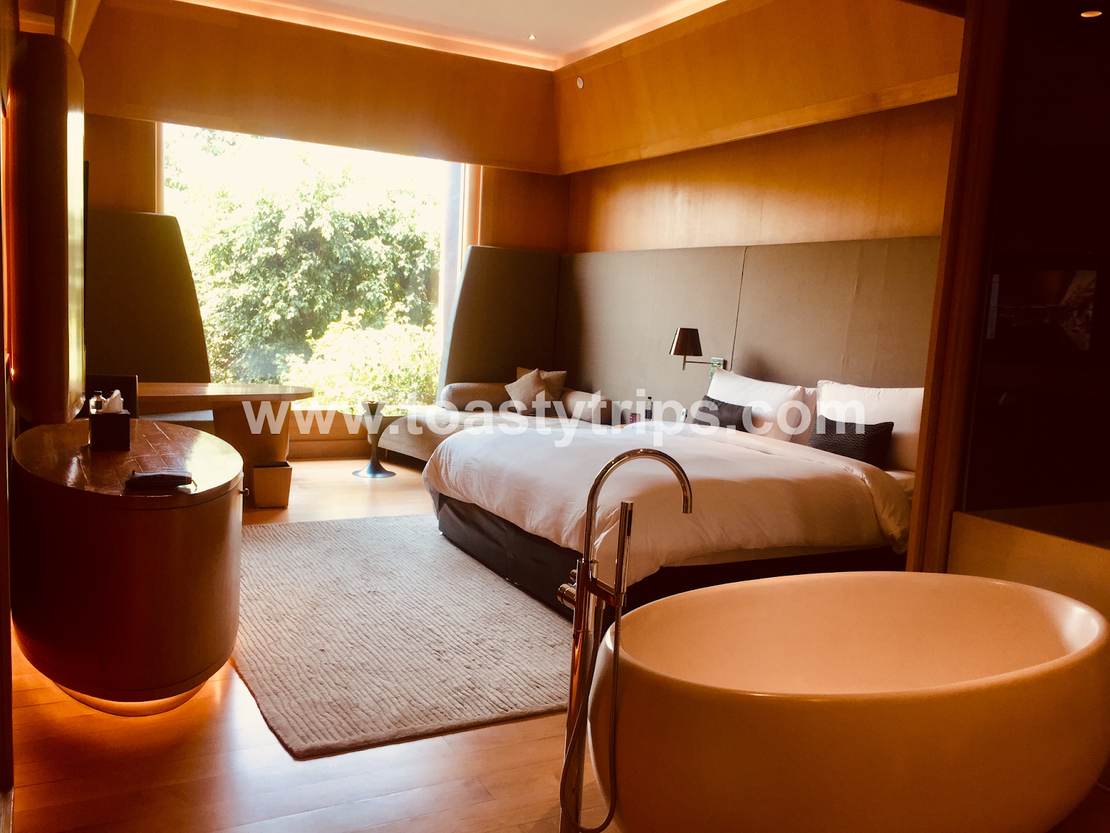 Toasty Trips The Roseate Delhi Weekend Getaway Guruji's Ashram