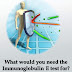 What would you need the Immunoglobulin E test for?