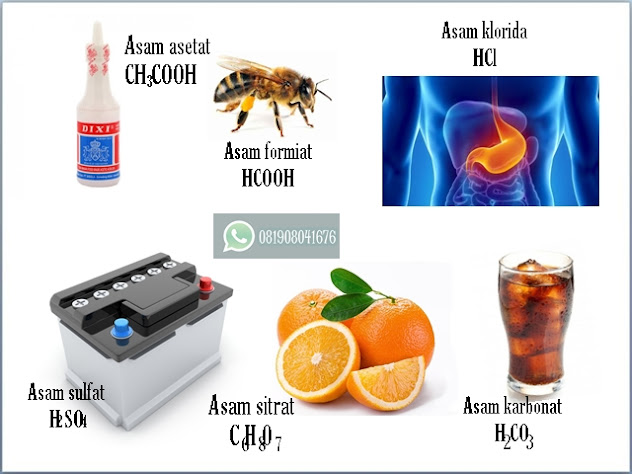 Contoh Larutan Asam Dalam Kehidupan Sehari Hari Rasanya Contoh Larutan Asam Dalam Kehidupan Sehari Hari Rasanya