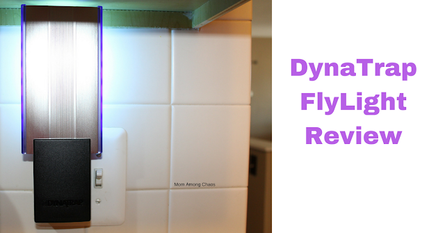 DynaTrap Flylight Review, natural, DIY, bug, review, Bug killer, light, UV, home, 