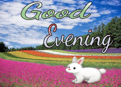 Cute good evening images Cute good evening images