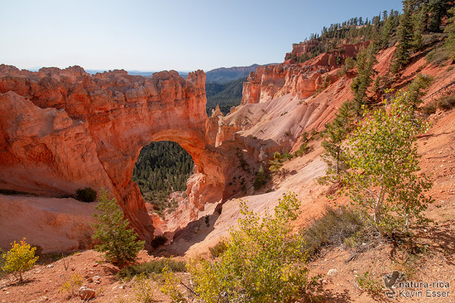 Bryce Canyon - Natural Bridge