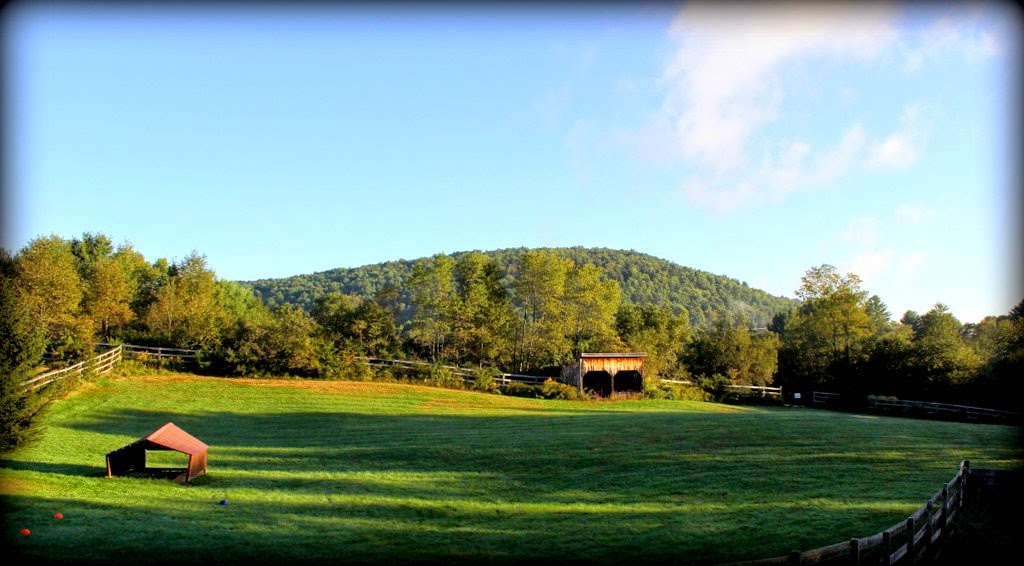 Glen Highland Farm