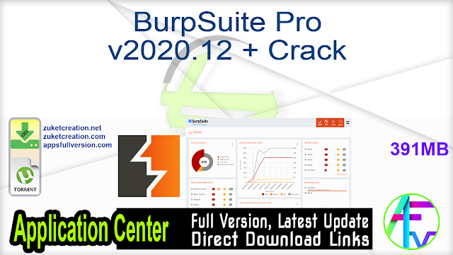 BurpSuite Pro v2020.12 + Crack