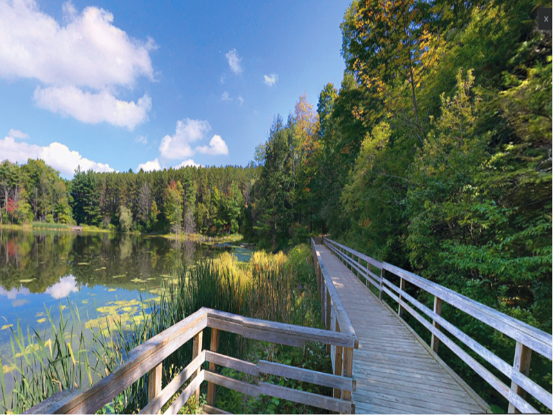 Home Builders in Waterloo Homes for sale guelph Ontario custom home