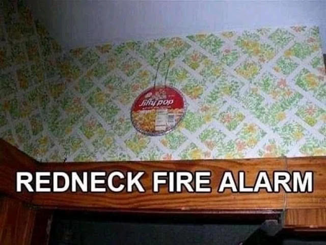 9.jpeg