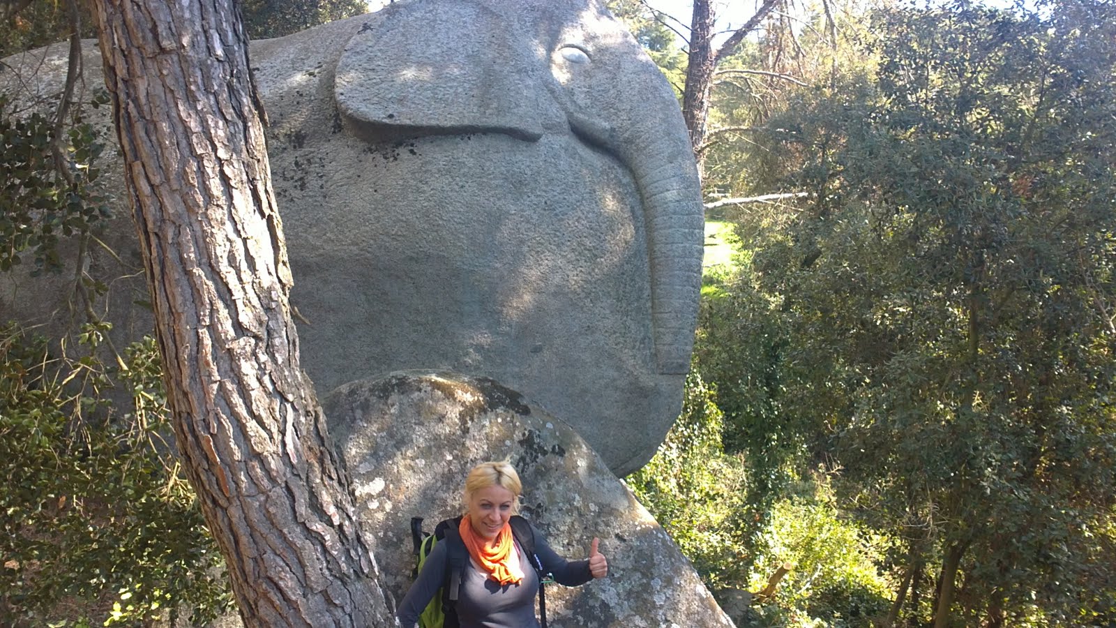 CUADERNO DE CAMPO EL BOSQUE ENCANTADO DE ÒRRIUS