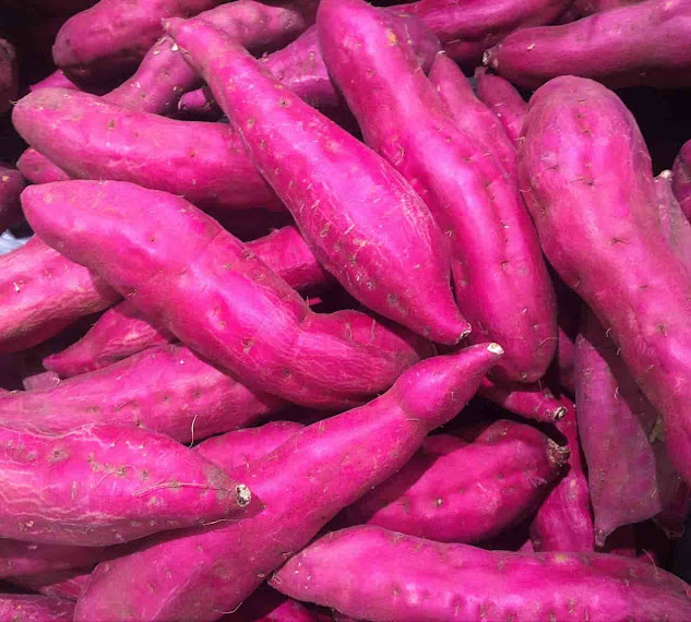 ubi ungu manfaat /genkibud ubi ungu manfaat