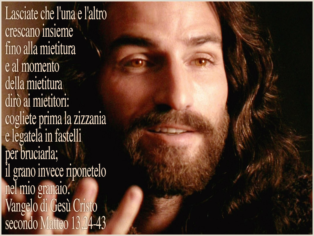 Frasi Su Chi Mette Zizzania