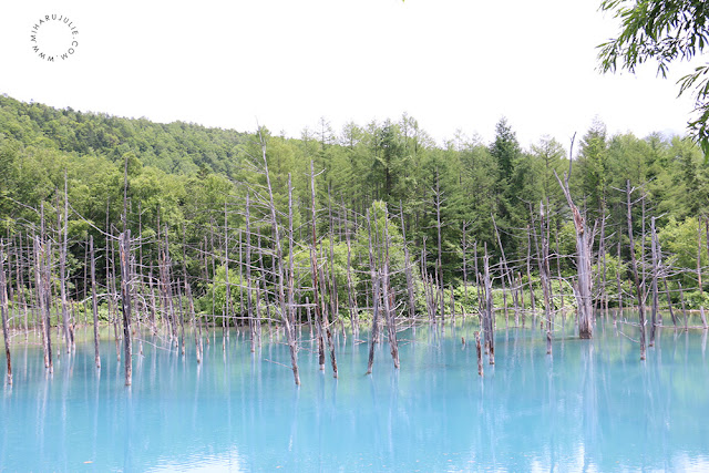 Blue Pond in Hokkaido