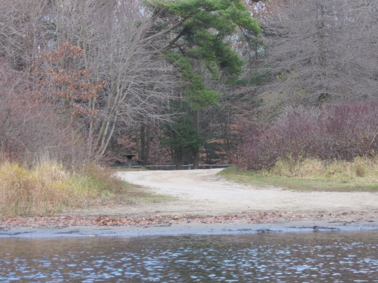 The Adventures of Little FIsh Pigeon Lake, Lake Michigan, and Pigeon Creek