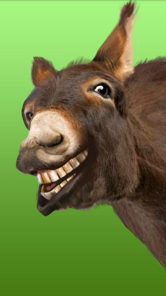 Funny Donkey Laughing Images.