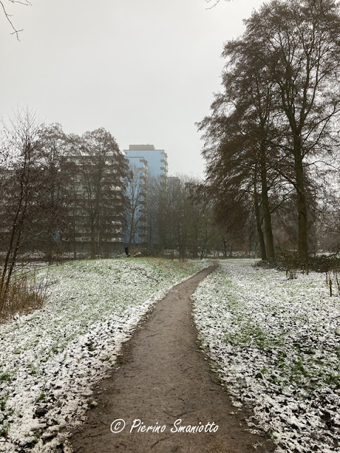 Geologenstrook in Nijmegen