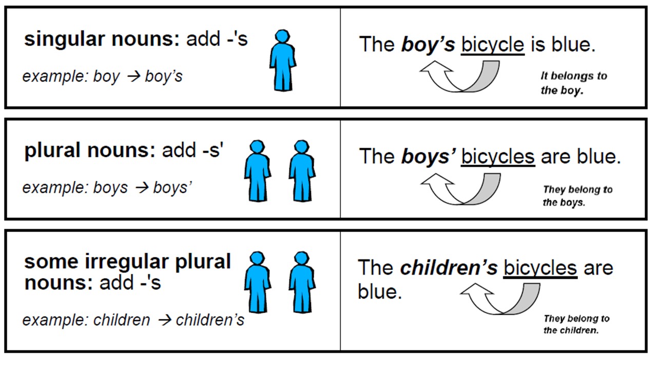 Apostrophe For Possession Plural Examples