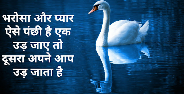 Quotes Of Bird In Hindi