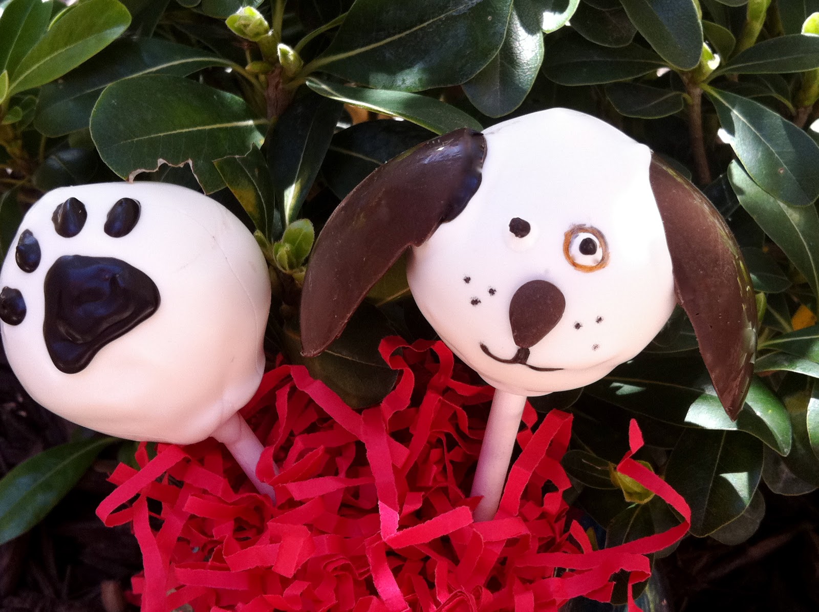 Cake Pop Queens: Puppy Cake Pops