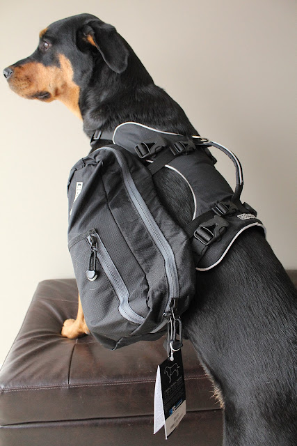 Canine Equipment Backpack Dog