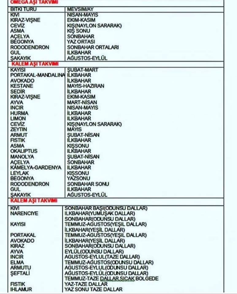 Meyve Agaclarinda Ilaclama Programlari Pdf Ucretsiz Indirin