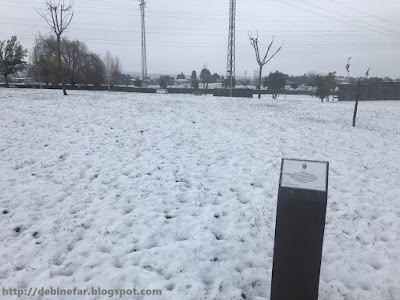 Nieve en Binéfar