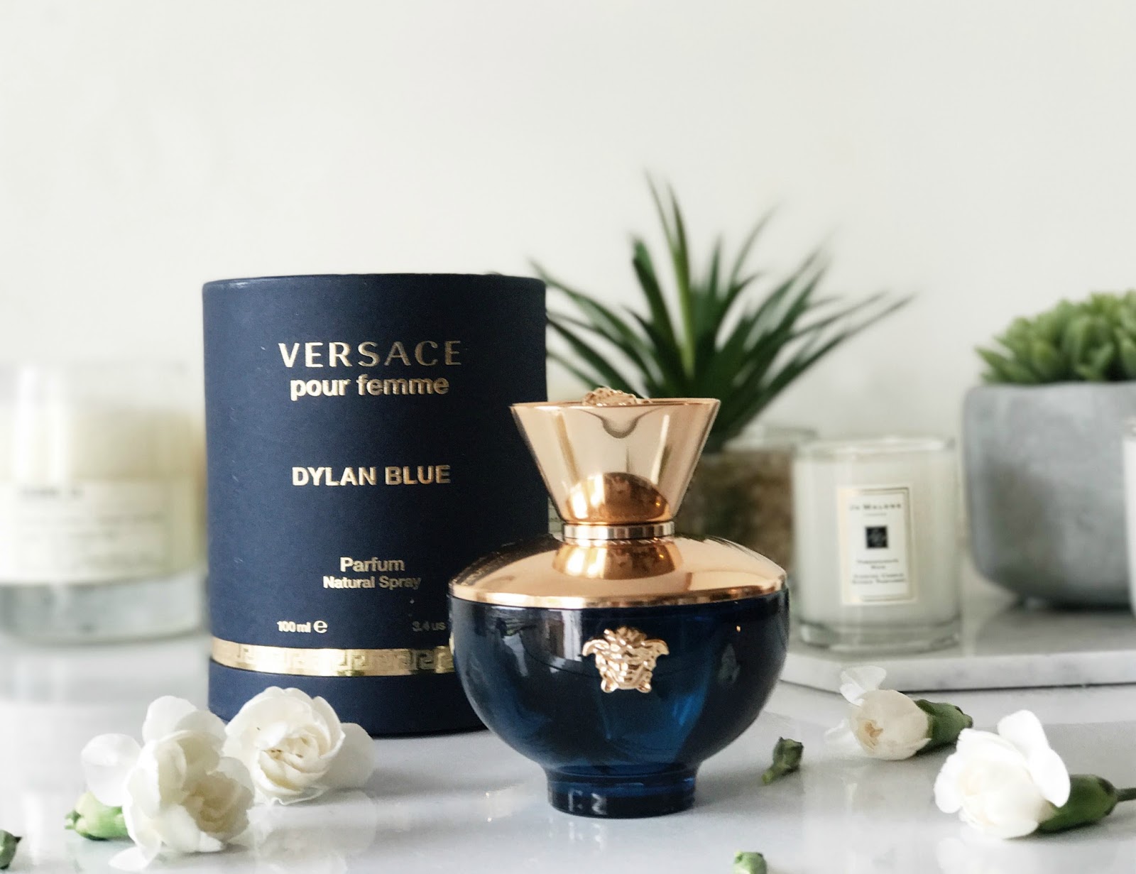 Fragrance of the Month - Versace Dylan Blue