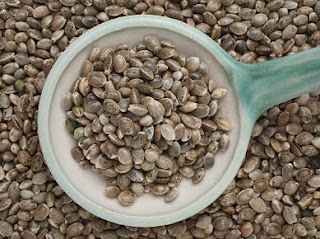 Hemp Seeds health benefits