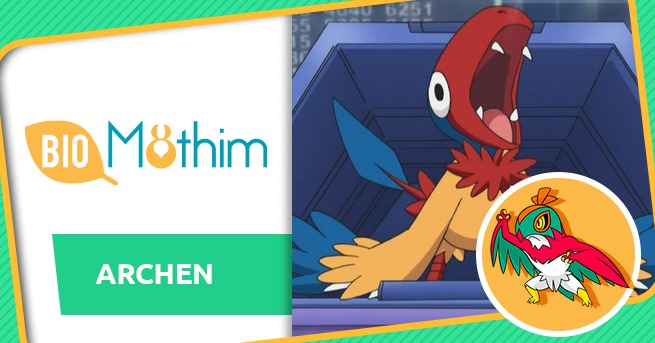 Curiosidades Pokémon: Archen e Archeops - Pokémothim