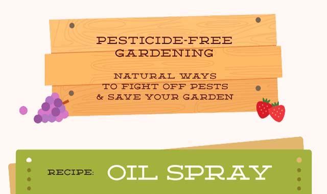 Pesticide-Free Gardening Natural Ways to Fight Off Pests and Save Your Garden 