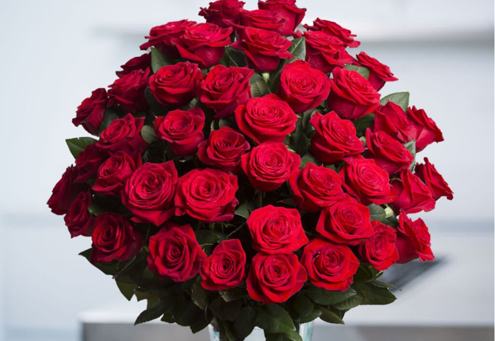 What Makes 99 Roses Popular Mellya Crayola