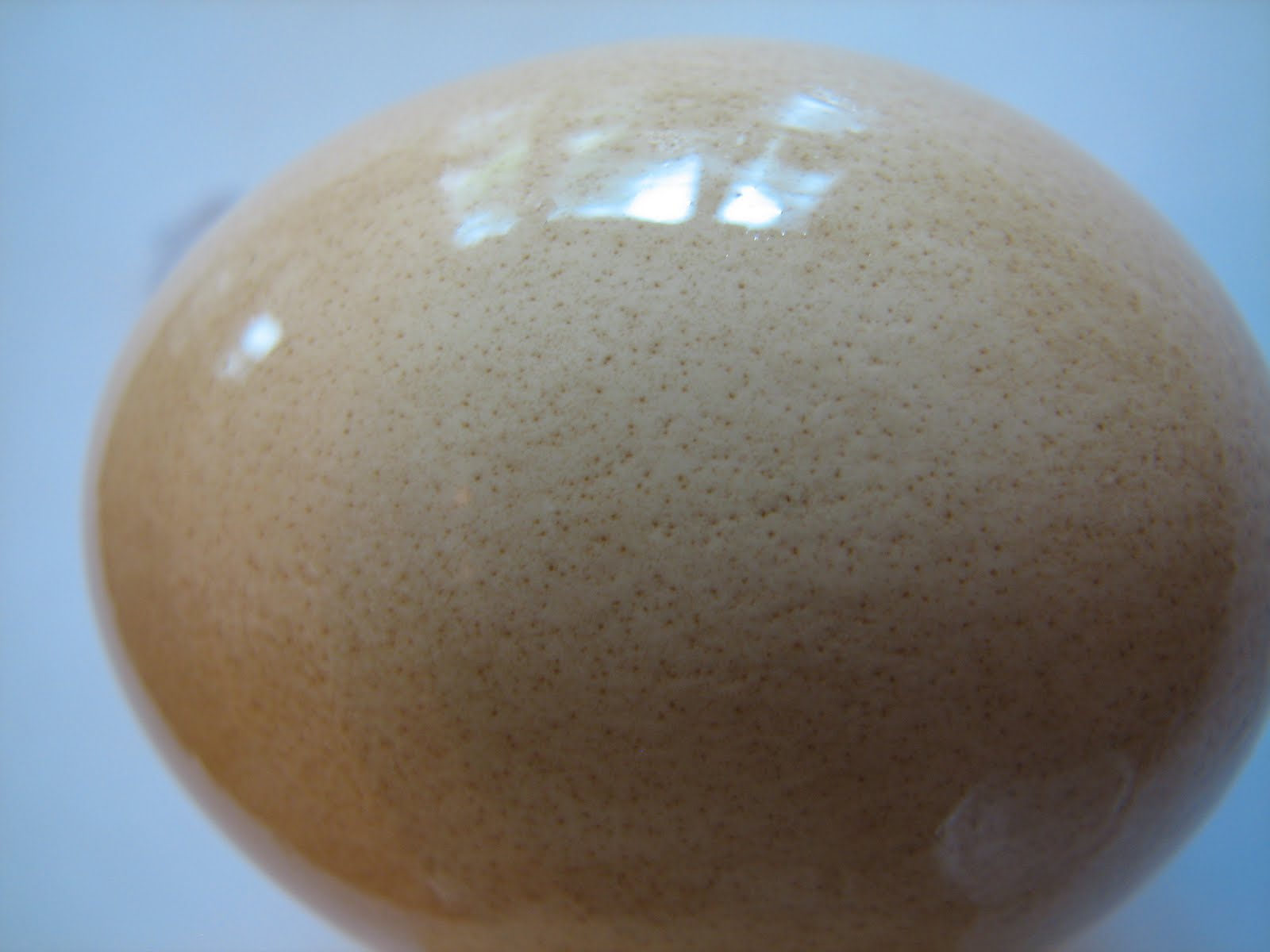 science-matters-the-importance-of-brushing-teeth-part-ii