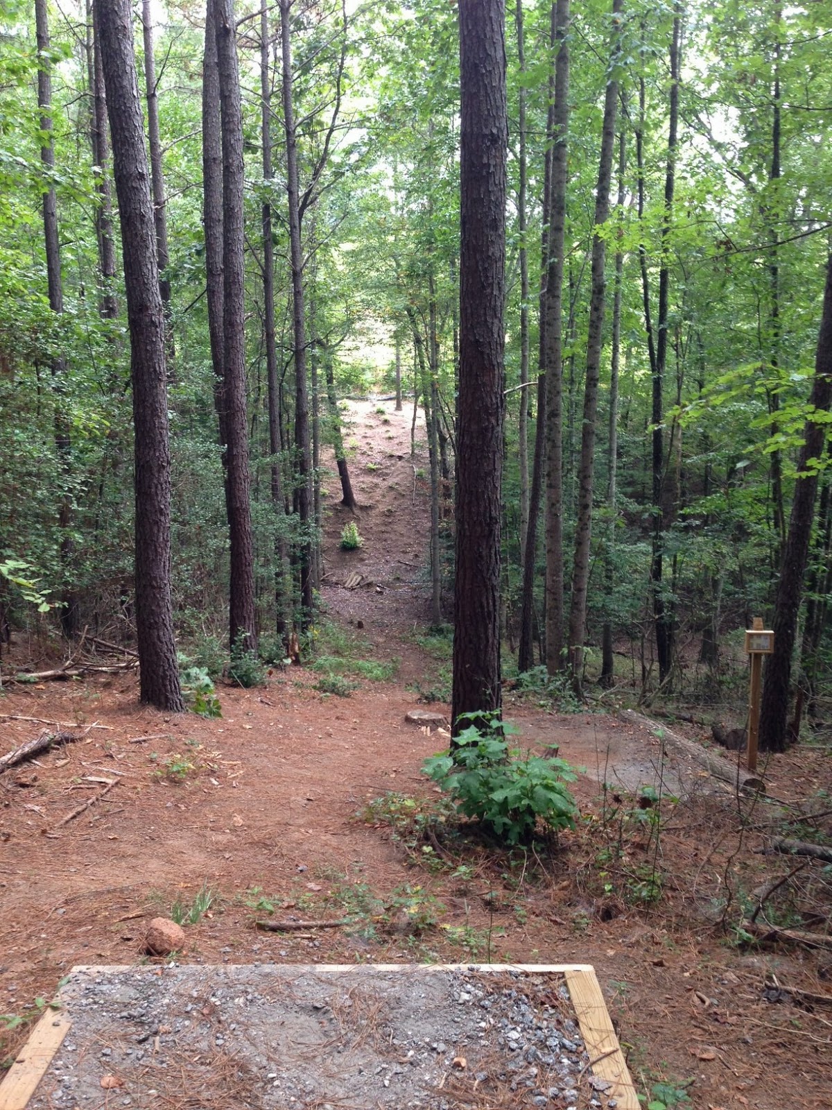 You Care What We Think Sawmills Veterans Park Disc Golf Course