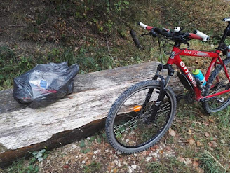 Déchets en forêt de Notre-Dame