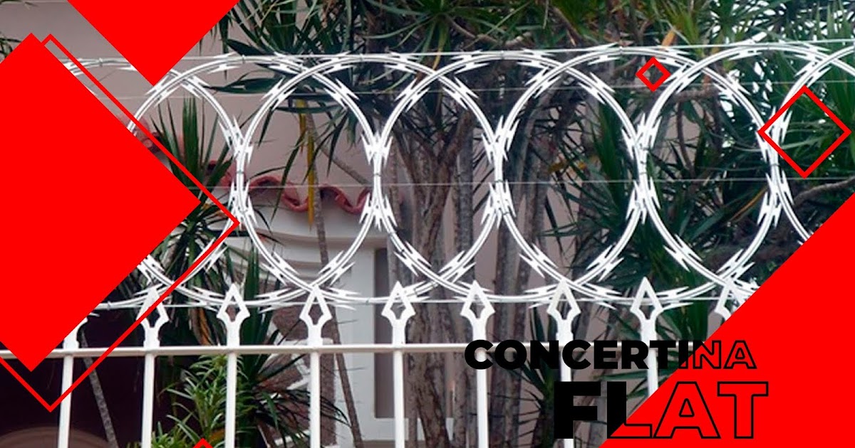 Concertina Flat Full Proteções Fábrica de Concertina Concertina RJ
