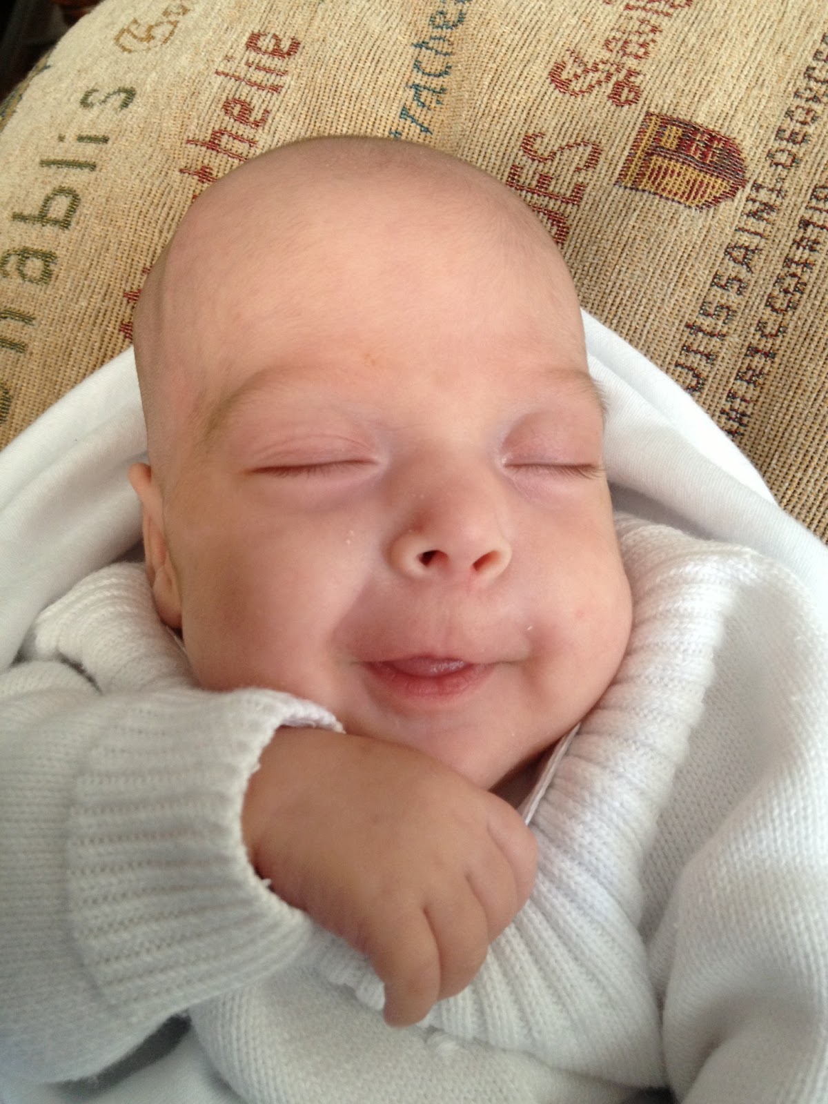 Adelantada a la Vida