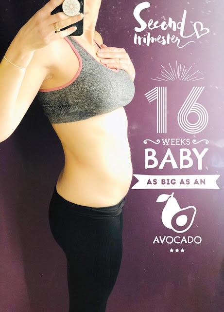 16 Weeks Pregnant