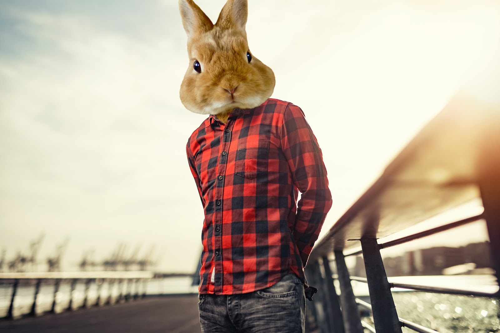 EMG Photography Animal Modeling