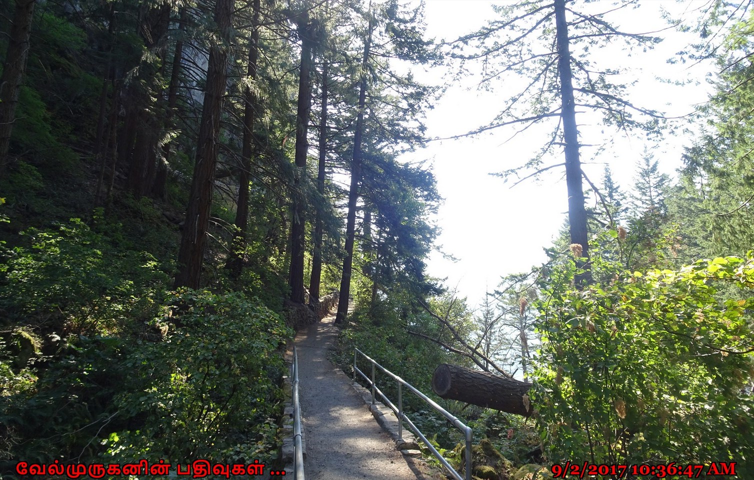 Beacon Rock State Park Exploring My Life