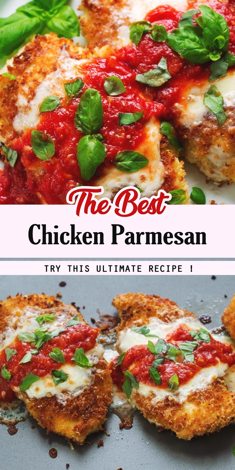 The Best Chicken Parmesan - SENIN WAWAN 2