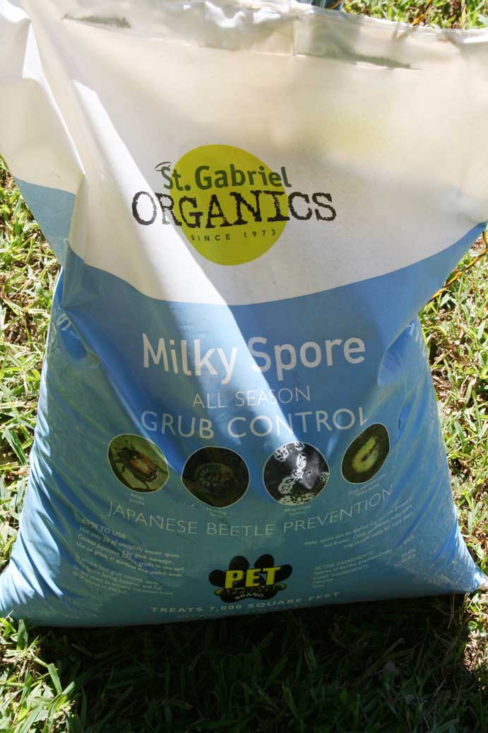 Everyday Finesse More about Milky Spore